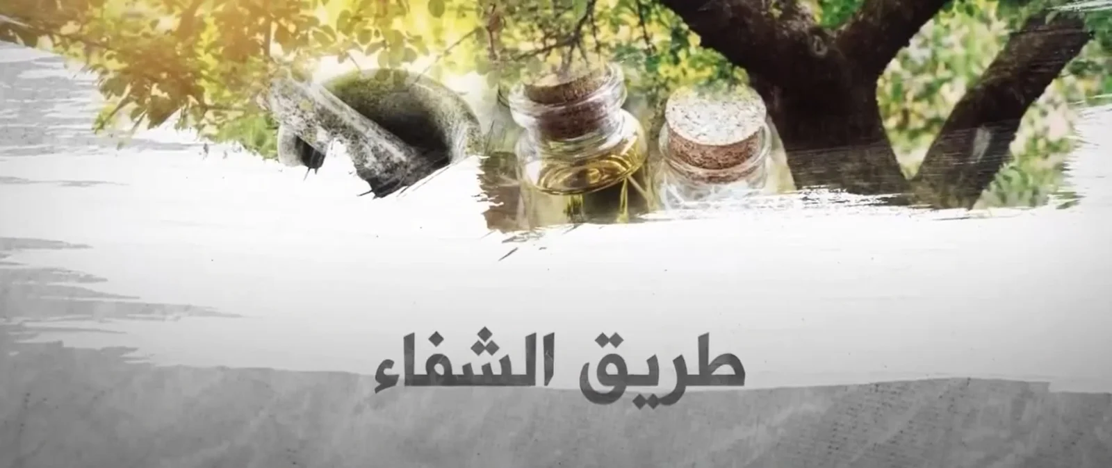 برنامج طريق الشفاء