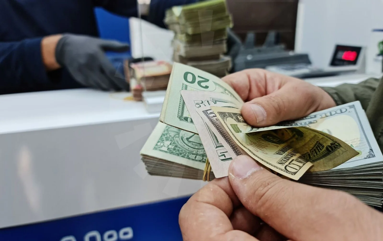 البنك المركزي يؤشر لقرب إطلاق آلية خاصة ببيع الدولار للمسافرين
