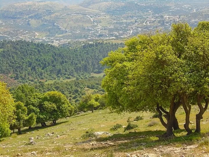 الأنواء الجوية: أمطار خفيفة وغيوم وتباين بالحرارة خلال أيام العيد